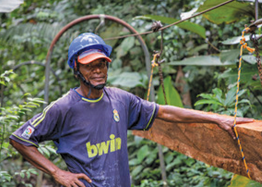 FSC OKs Afro-Colombian communities’ timber plan